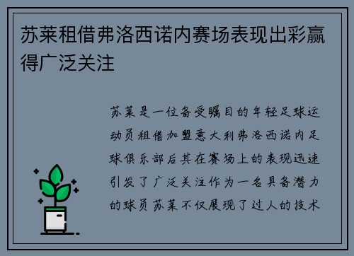 苏莱租借弗洛西诺内赛场表现出彩赢得广泛关注 苏莱租借弗洛西诺内赛场表现出彩赢得广泛关注